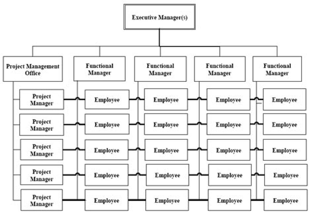 matrix organization struture